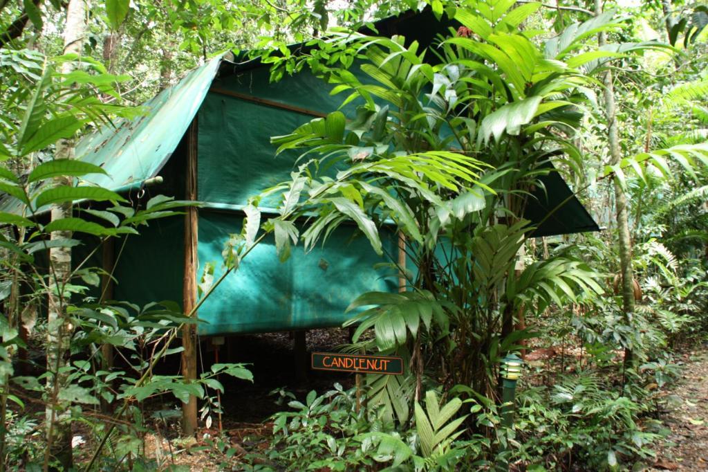 Daintree Crocodylus Village Lodge