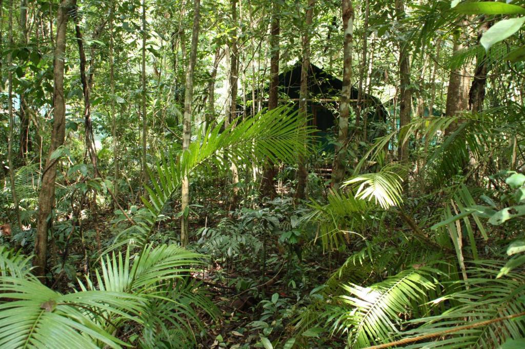 Daintree Crocodylus Village *